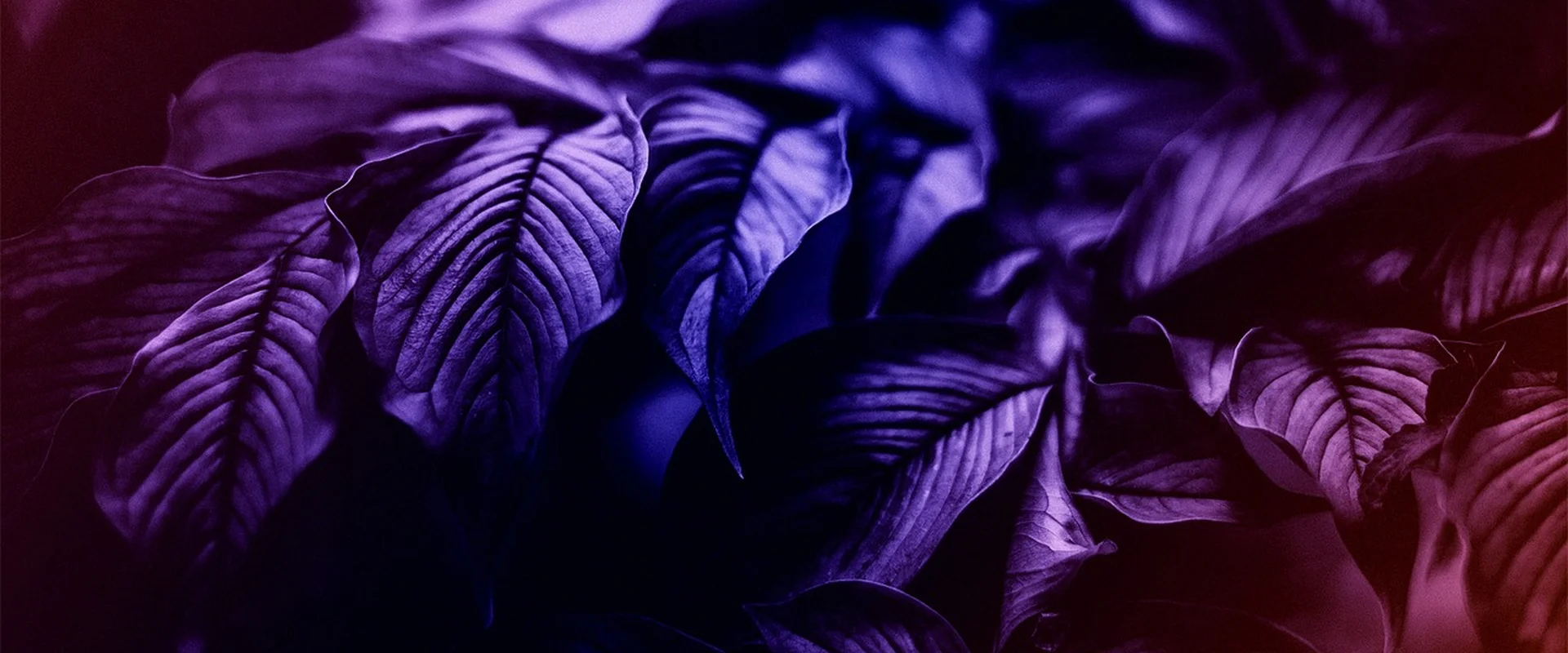 万博体育PG电子